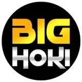 BIGHOKI - Pertarungan Sengit di Dunia Fighting